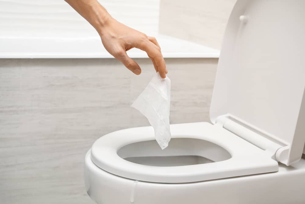 Flushable Wipes: The Advantages in Portable Restroom Rental