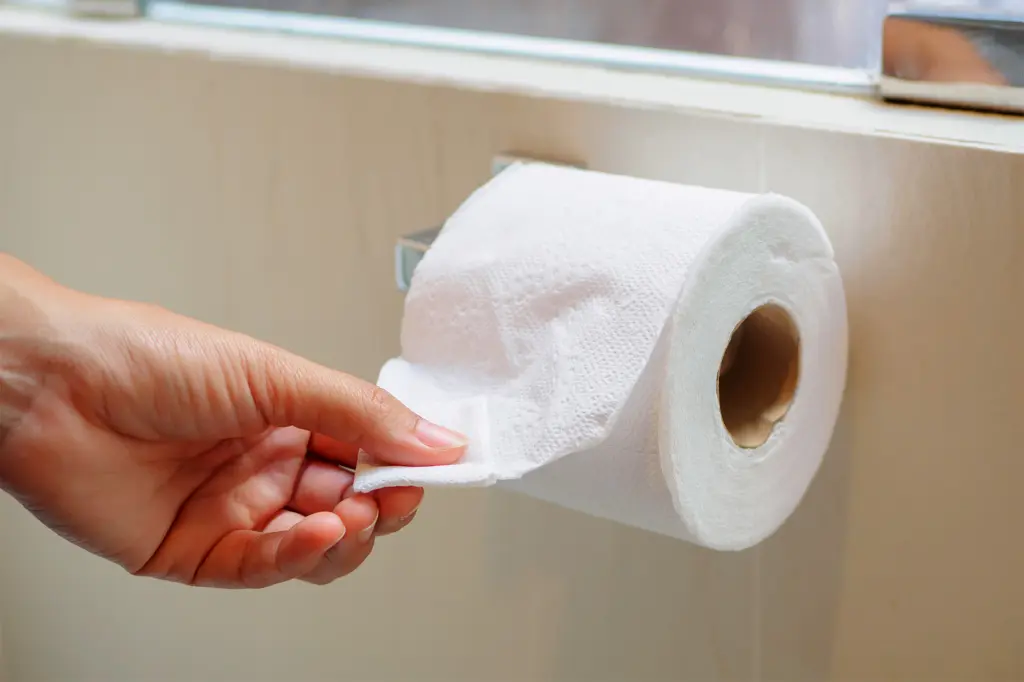 Toilet Paper in Portable Restroom Rental: An Informational Guide